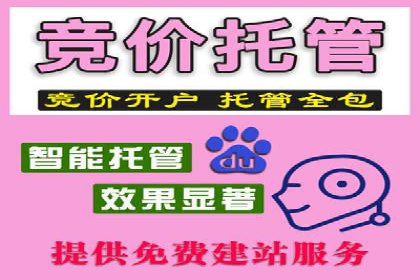 竞价推广策略：某电商平台的成功之路